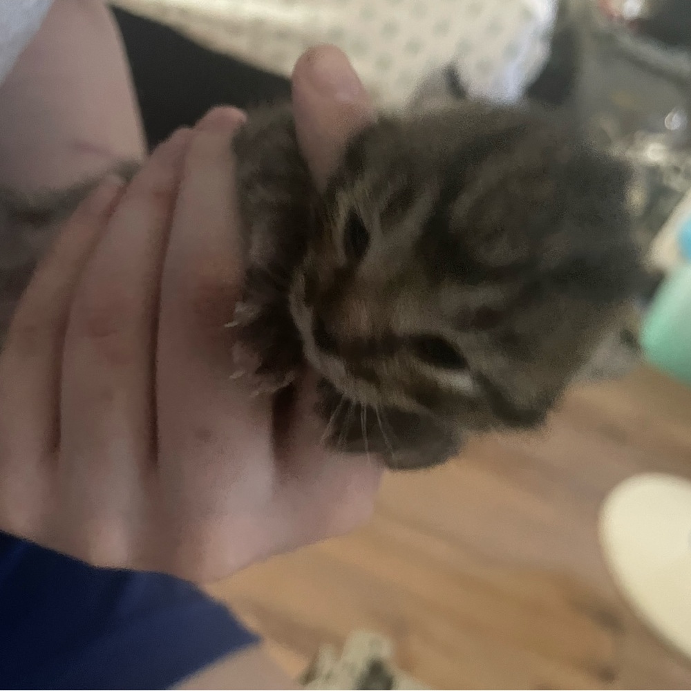 Meet your Posher, Heather